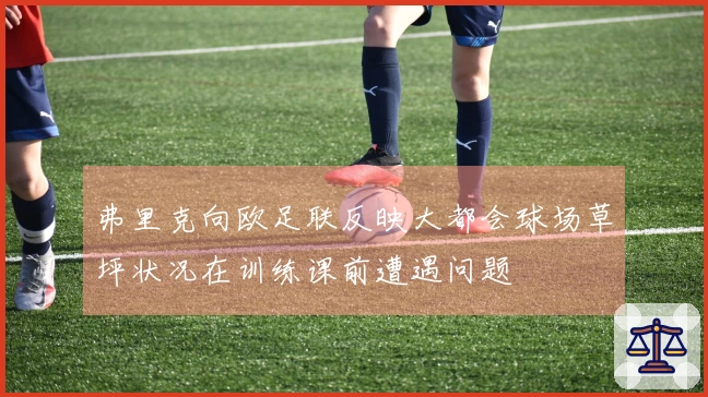弗里克向欧足联反映大都会球场草坪状况在训练课前遭遇问题
