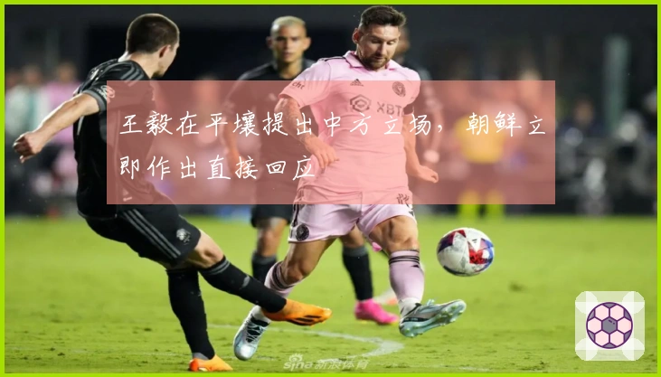 王毅在平壤提出中方立场，朝鲜立即作出直接回应