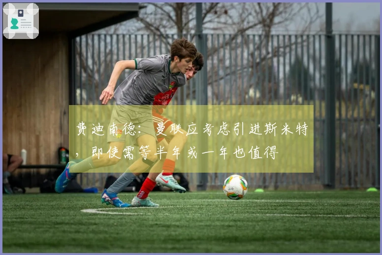 费迪南德：曼联应考虑引进斯米特，即使需等半年或一年也值得
