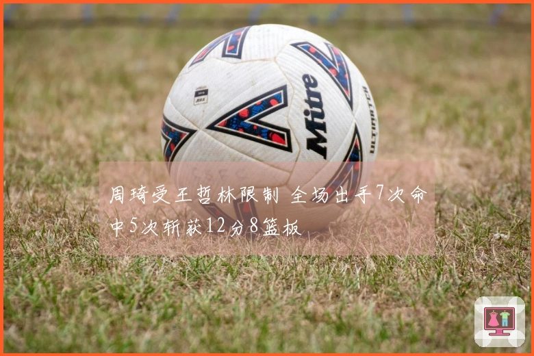 周琦受王哲林限制 全场出手7次命中5次斩获12分8篮板