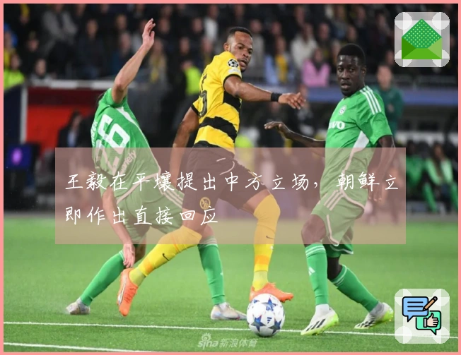 王毅在平壤提出中方立场，朝鲜立即作出直接回应