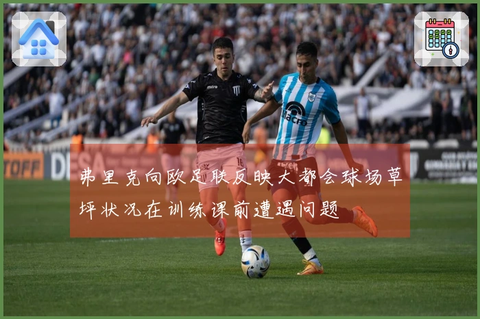 弗里克向欧足联反映大都会球场草坪状况在训练课前遭遇问题