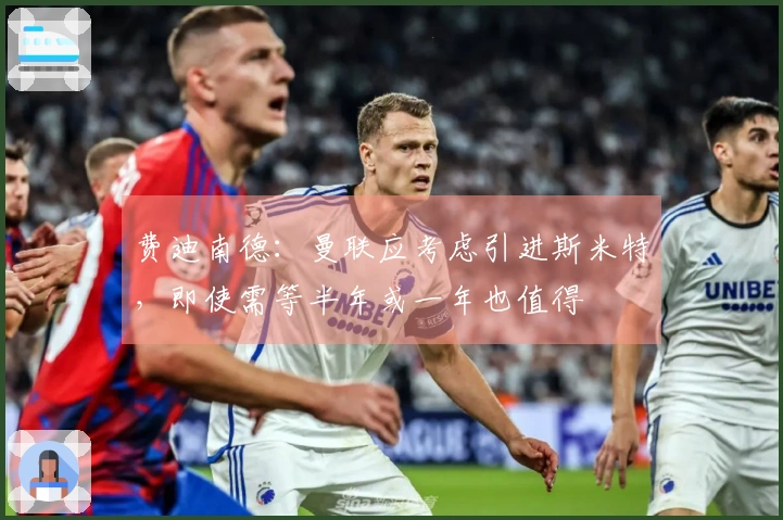 费迪南德：曼联应考虑引进斯米特，即使需等半年或一年也值得